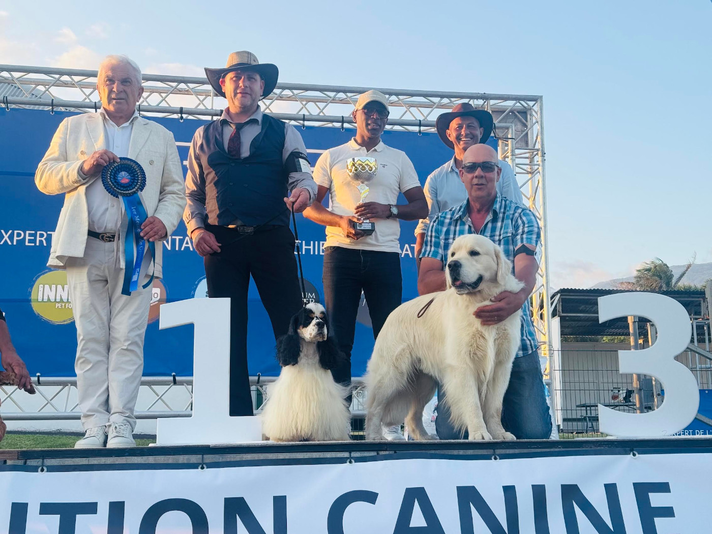 Du Joyaux Des Mascareignes - Unter le pére des chiots de Tina