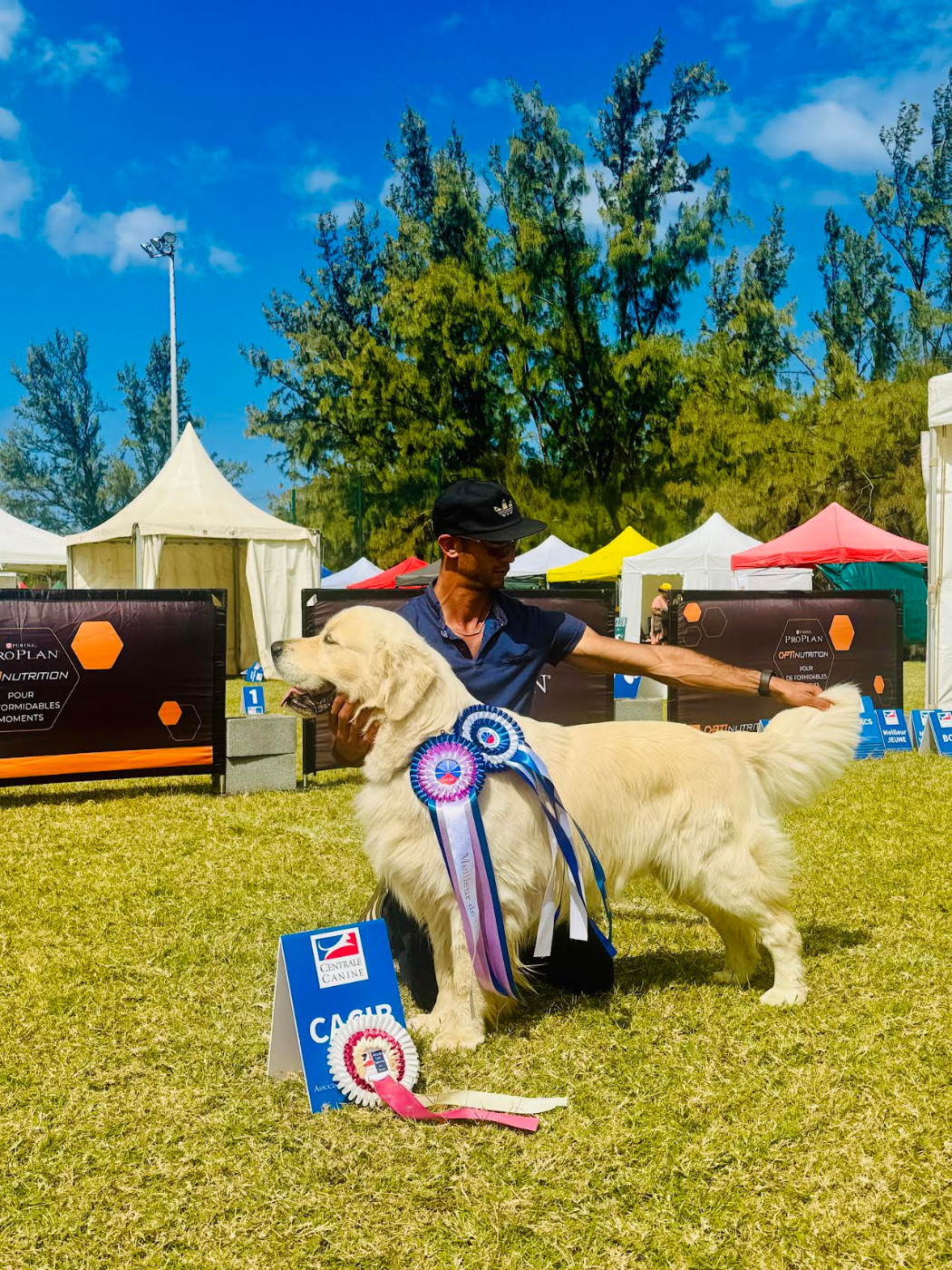 Du Joyaux Des Mascareignes - Unter papa de 10 beaux bébés