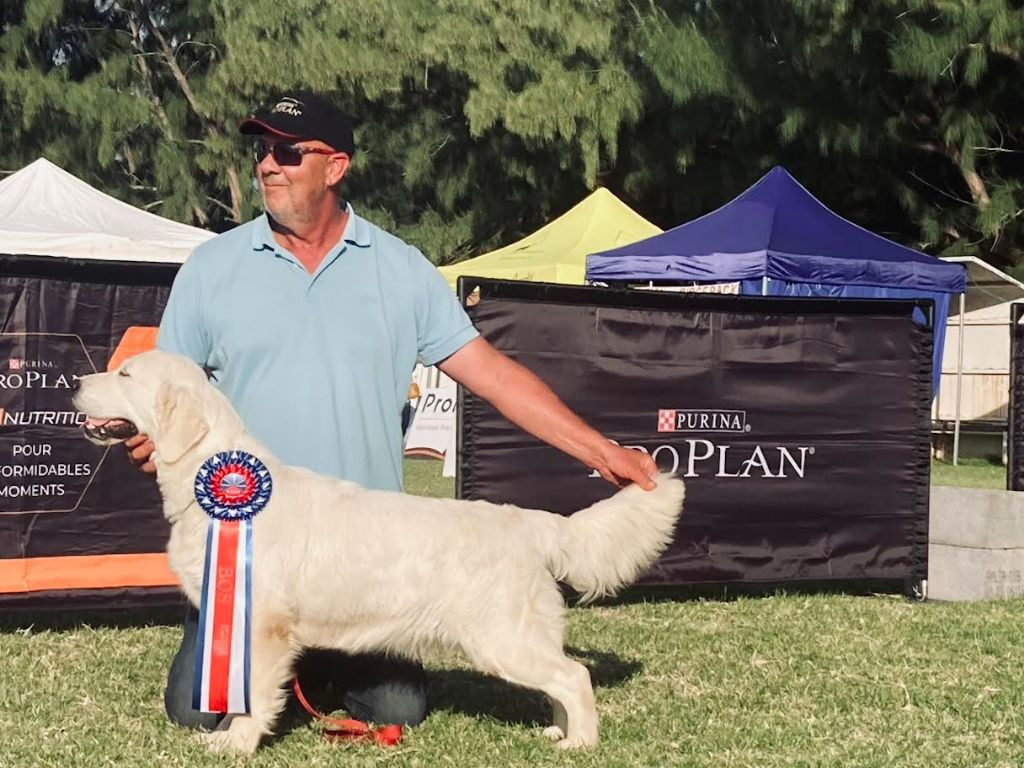 Du Joyaux Des Mascareignes - Tina