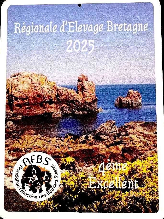 Régionale D'élevage Betagne