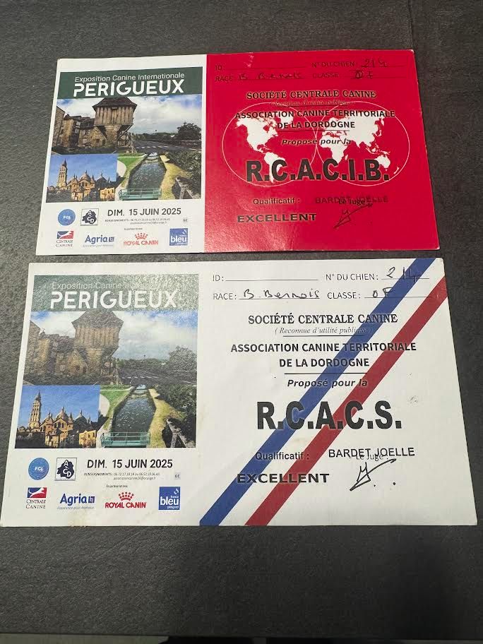 Amanda Alpine Pride RCACIB Exellent