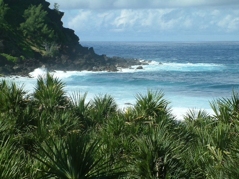 Nos boubous La Réunion